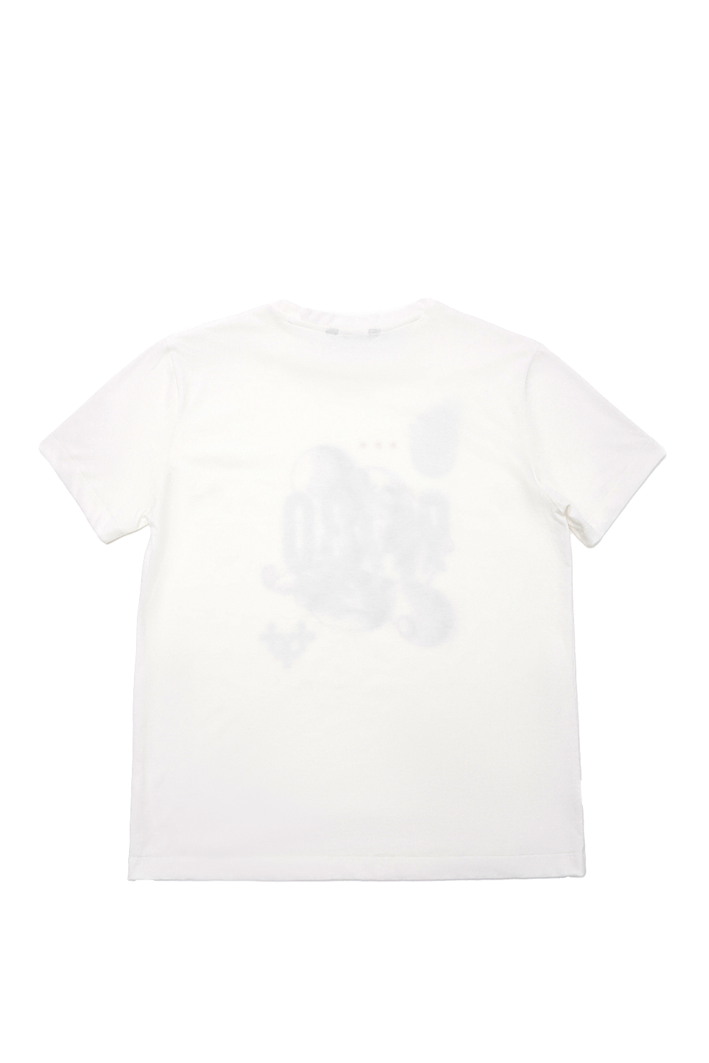 91730 REBIRTH T-SHIRT 2.0 91730 재탄생 티셔츠 2.0